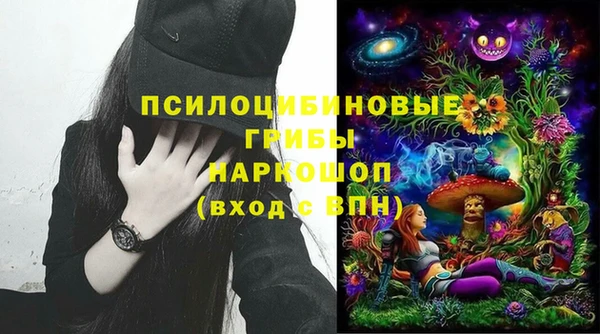сатива Алзамай