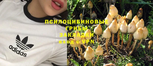 сатива Алзамай